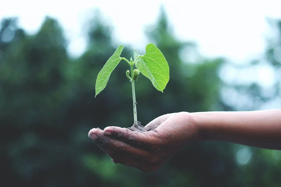 Comment devenir naturopathe ?